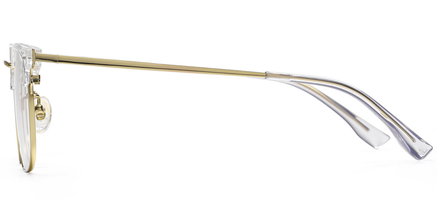 Titanium Browline Frame F6611