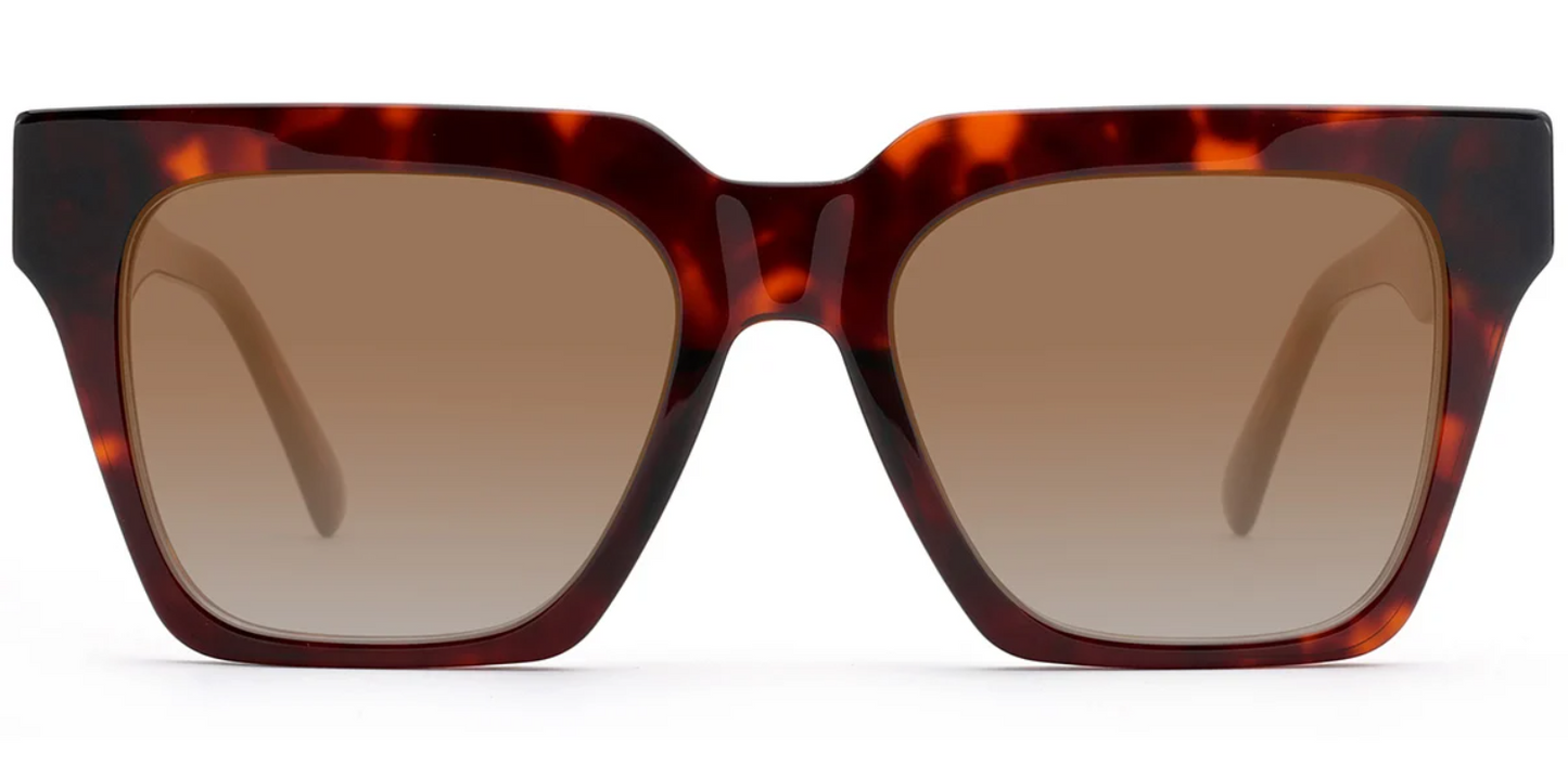 Acetate Square Sunglasses SG8295