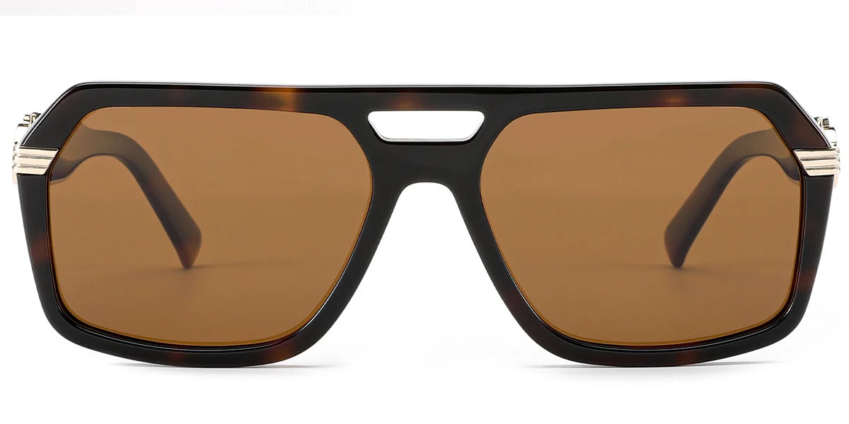 Acetate Aviator Sunglasses SG6106