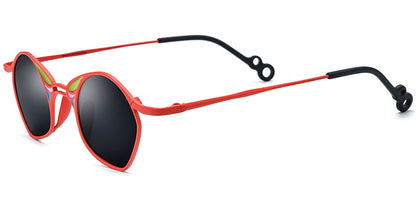 Titanium Geometric Sunglasses SG7397