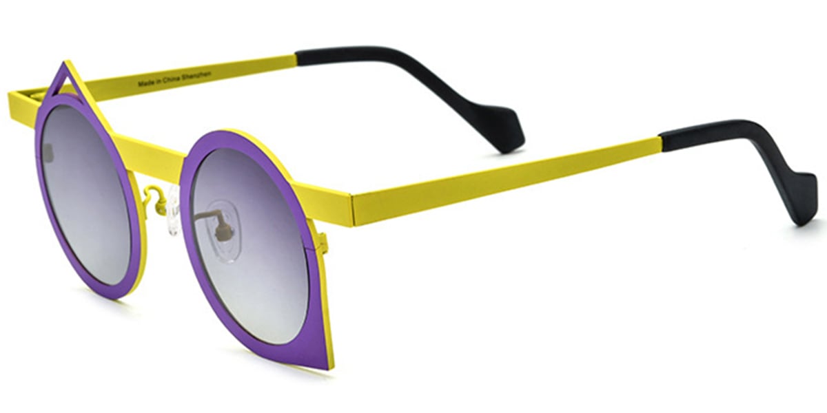 Titanium Geometric Sunglasses SG6721