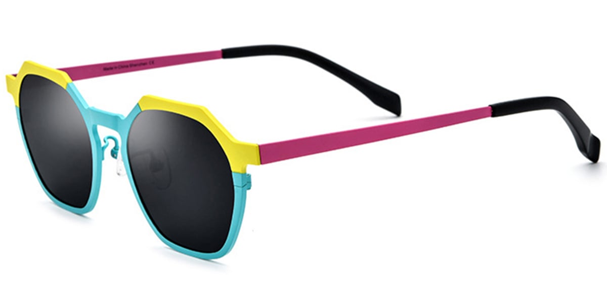 Titanium Geometric Sunglasses SG6671