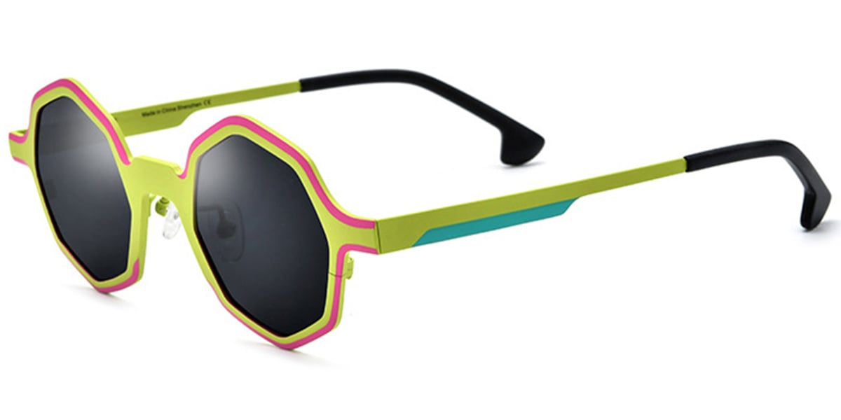 Titanium Geometric Sunglasses SG6669