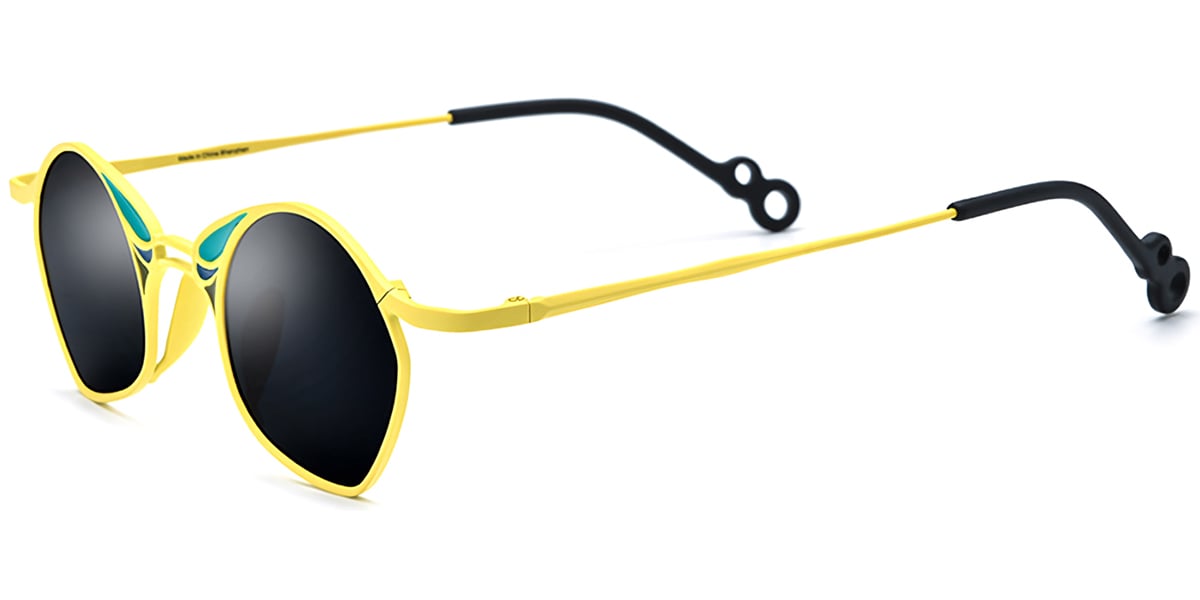 Titanium Geometric Sunglasses SG7397