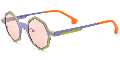 Titanium Geometric Sunglasses SG6669