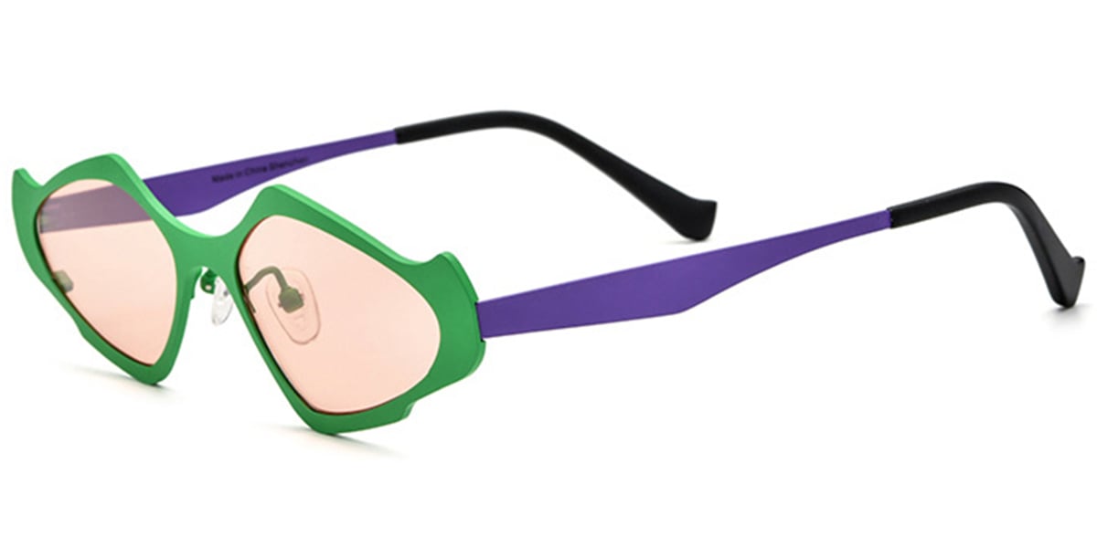 Titanium Geometric Sunglasses SG6779