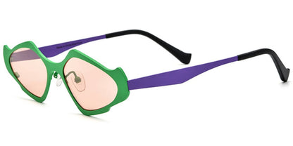 Titanium Geometric Sunglasses SG6779