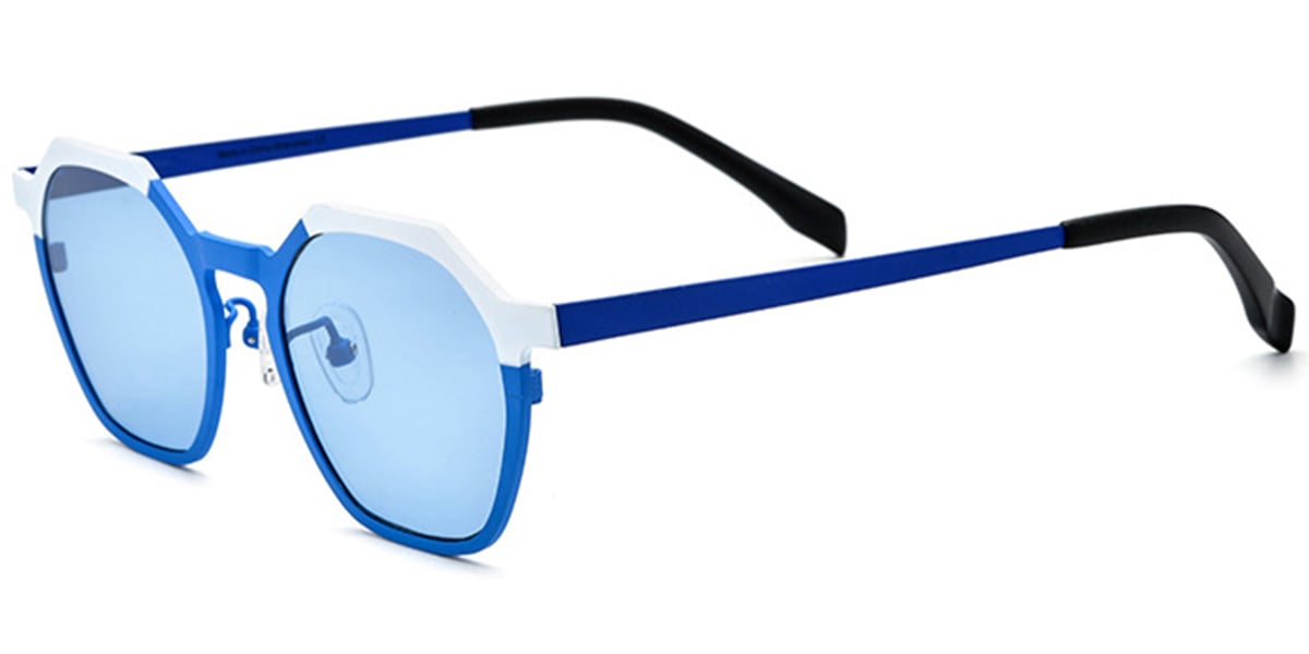 Titanium Geometric Sunglasses SG6671