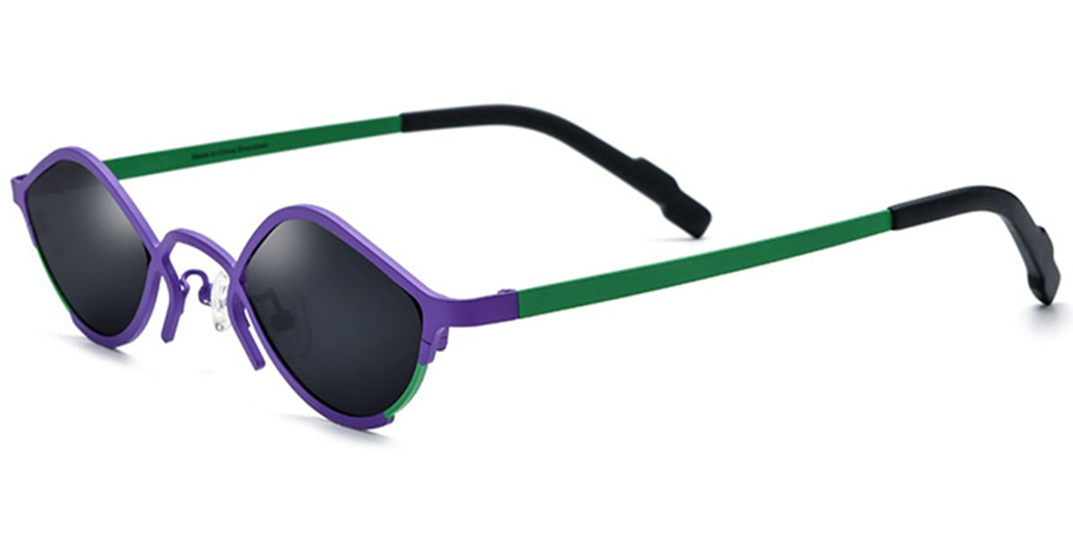 Titanium Geometric Sunglasses SG6804