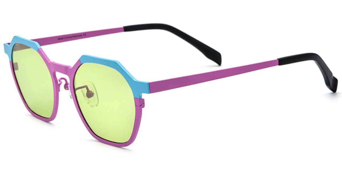 Titanium Geometric Sunglasses SG6671