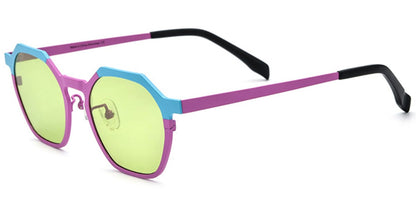 Titanium Geometric Sunglasses SG6671