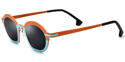 Titanium Geometric Sunglasses SG6873
