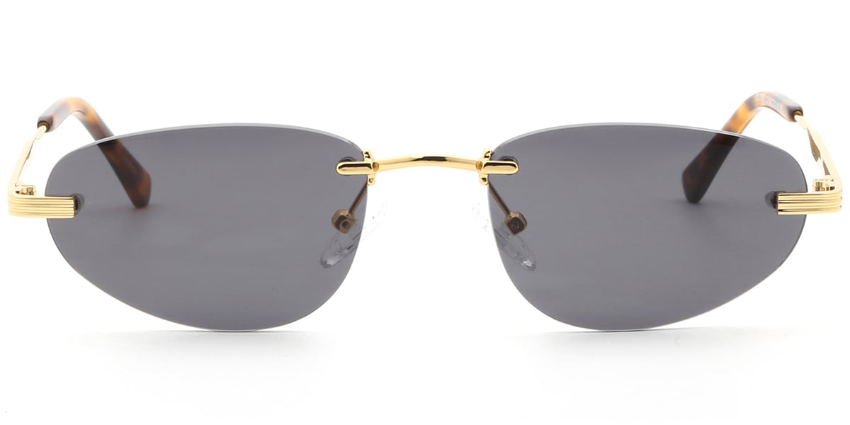 Acetate Metal Geometric Sunglasses SG9360