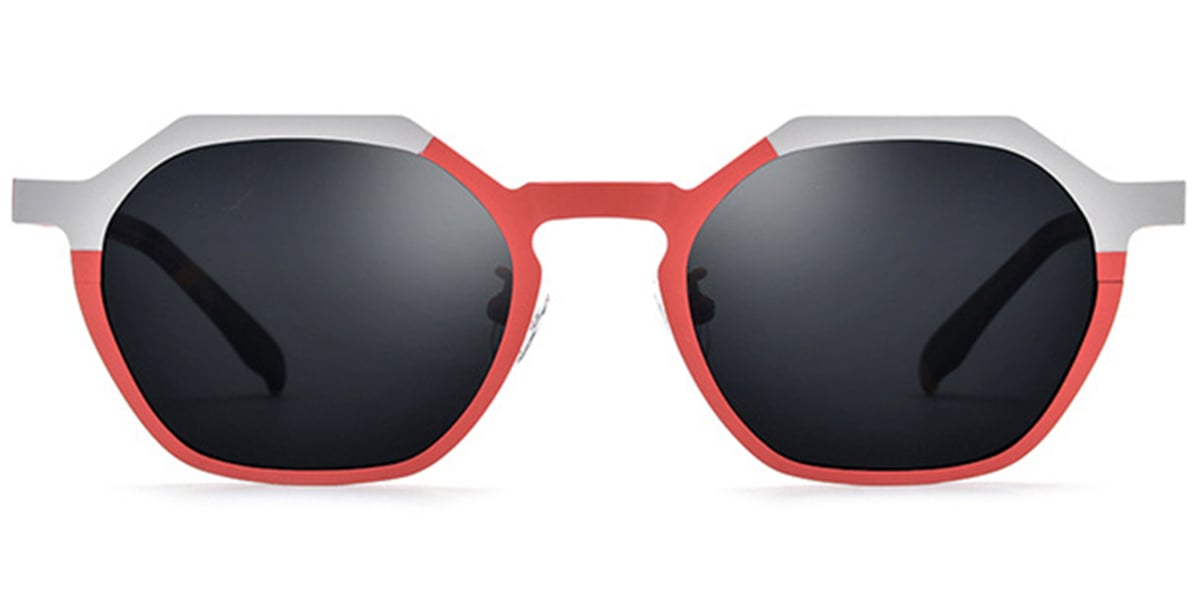 Titanium Geometric Sunglasses SG6671