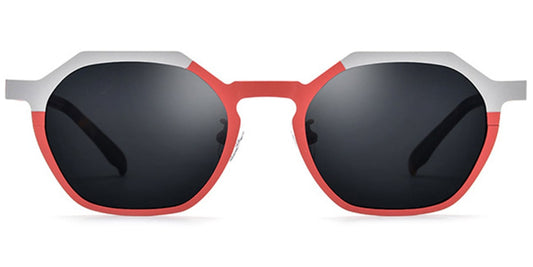 Titanium Geometric Sunglasses SG6671