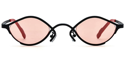 Titanium Geometric Sunglasses SG6804