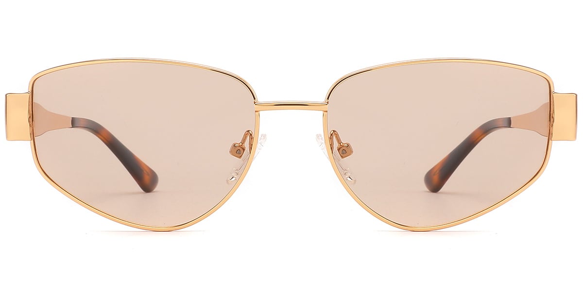 Acetate Metal Geometric Sunglasses SG9361