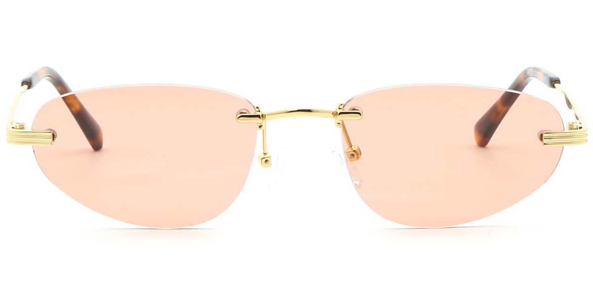 Acetate Metal Geometric Sunglasses SG9360