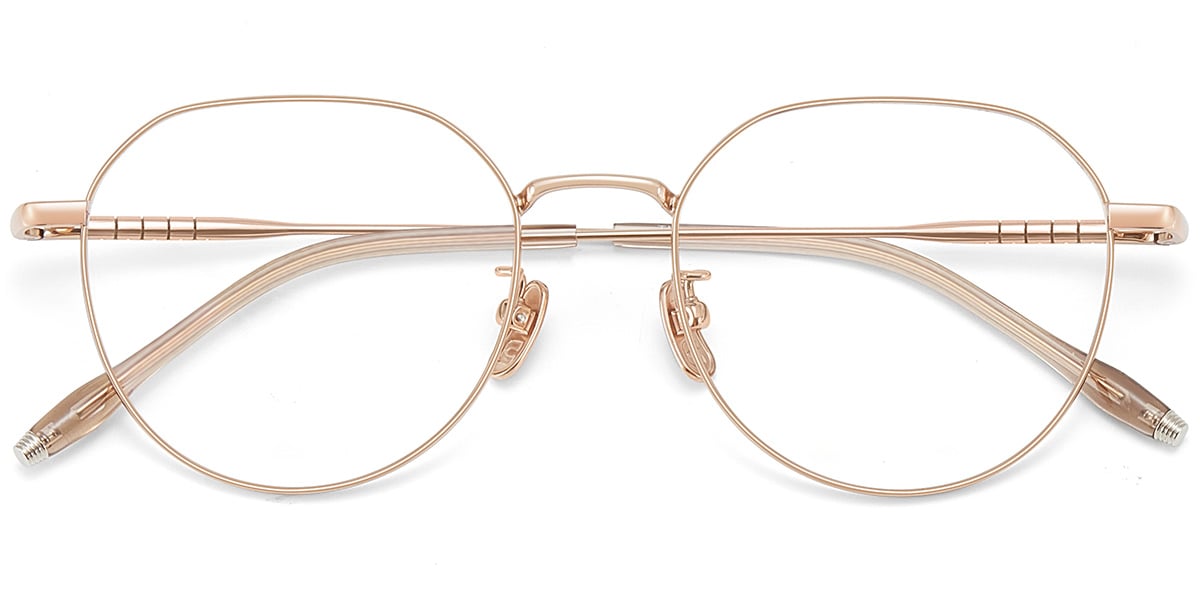 Acetate Titanium Geometric Frame F9450