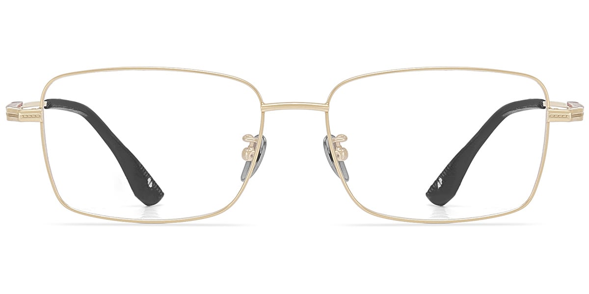Acetate Titanium Rectangle Frame F9446