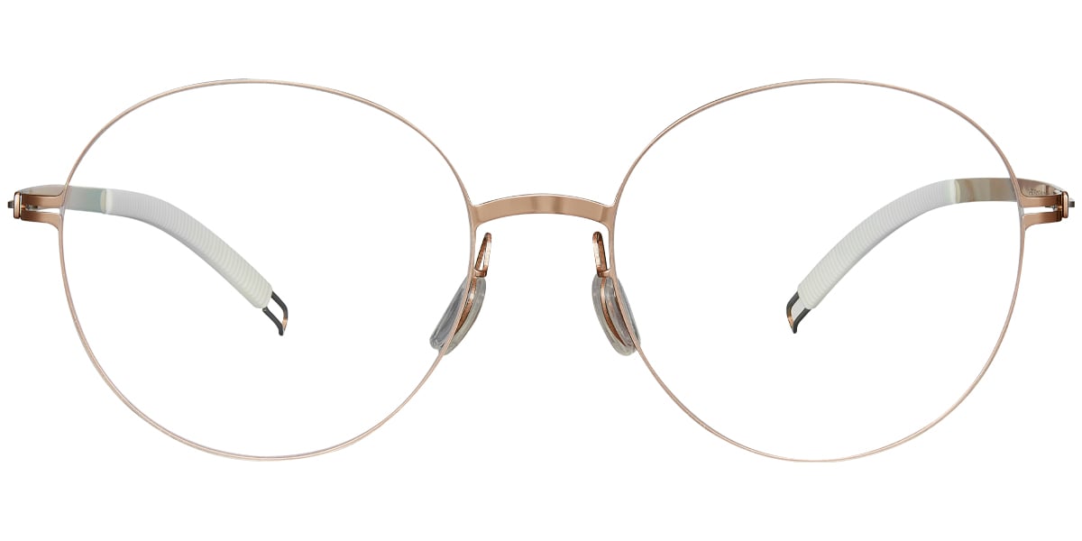 Titanium Round Frame F4981