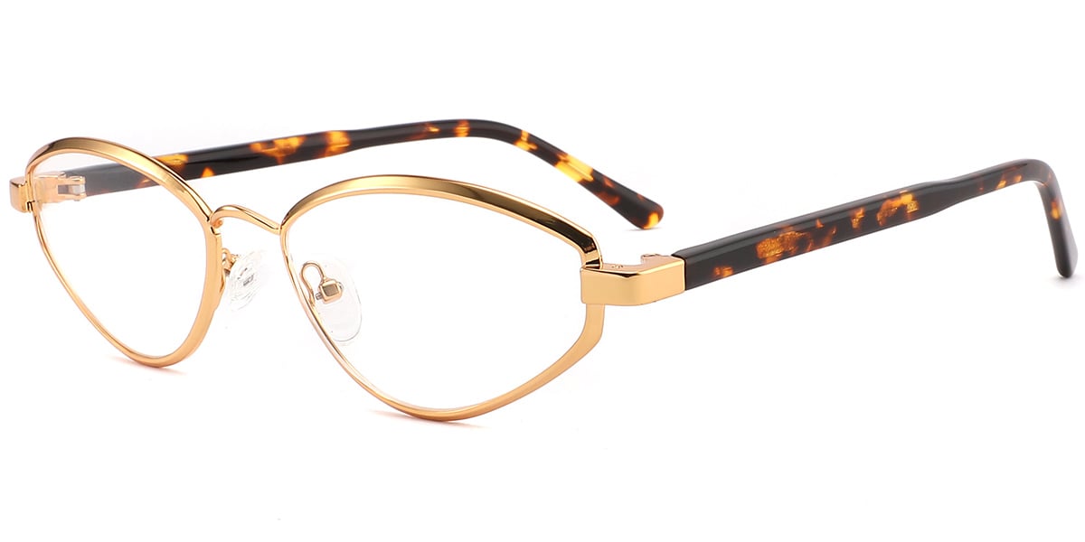 Acetate Metal Geometric Frame F10401