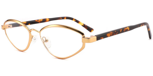Acetate Metal Geometric Frame F10401