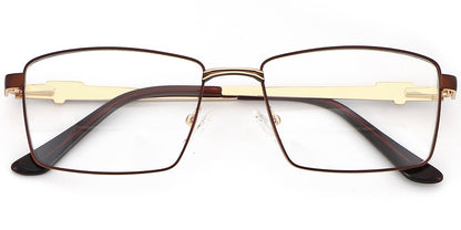 Acetate Metal Rectangle Frame F8746