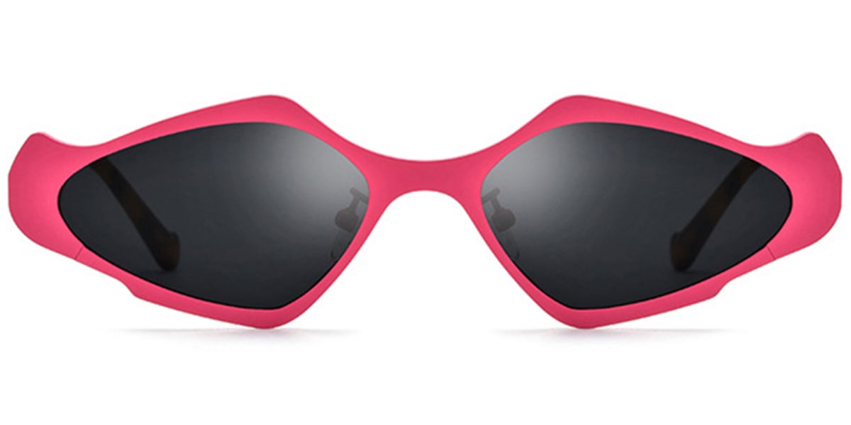 Titanium Geometric Sunglasses SG6779