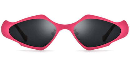 Titanium Geometric Sunglasses SG6779