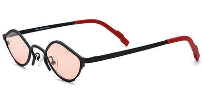 Titanium Geometric Sunglasses SG6804