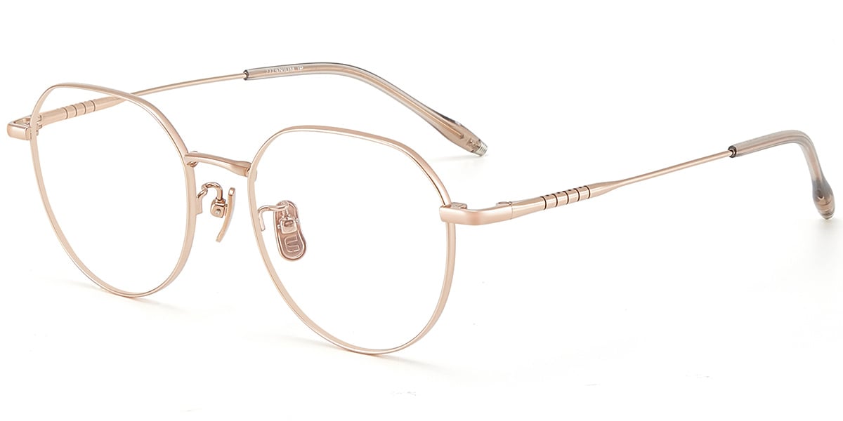 Acetate Titanium Geometric Frame F9450