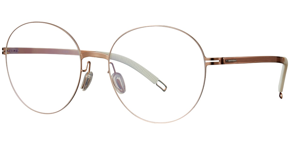 Titanium Round Frame F4981