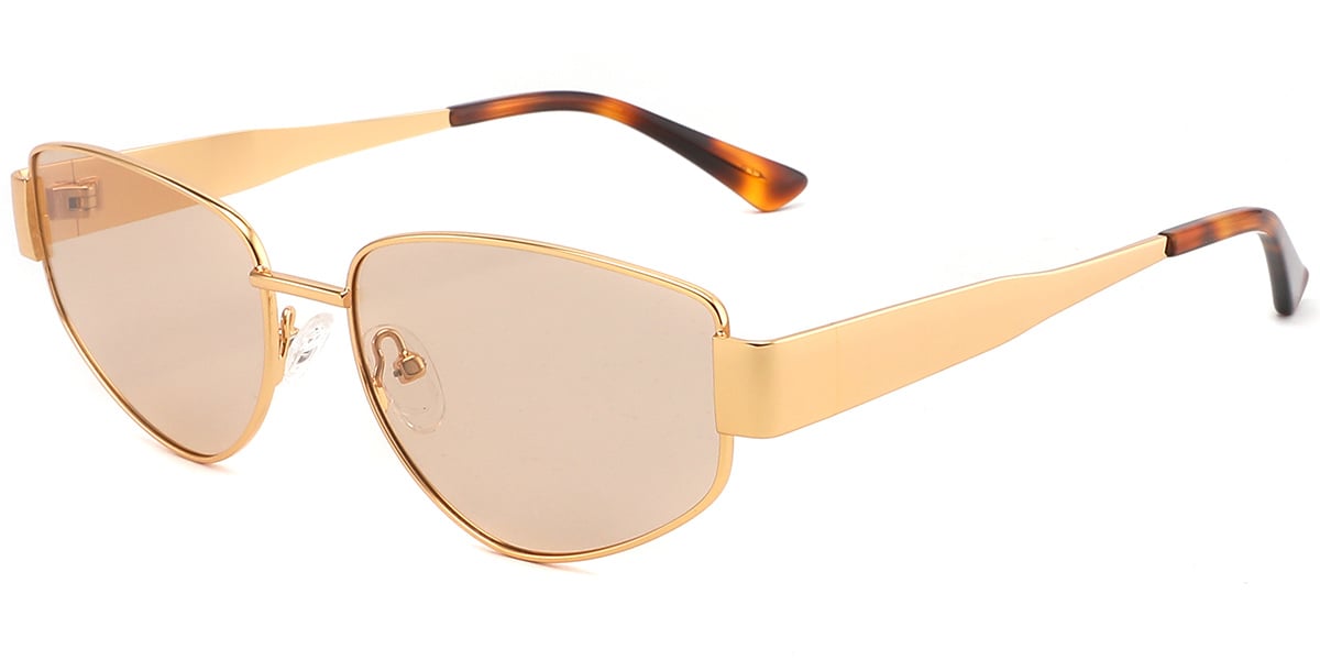 Acetate Metal Geometric Sunglasses SG9361