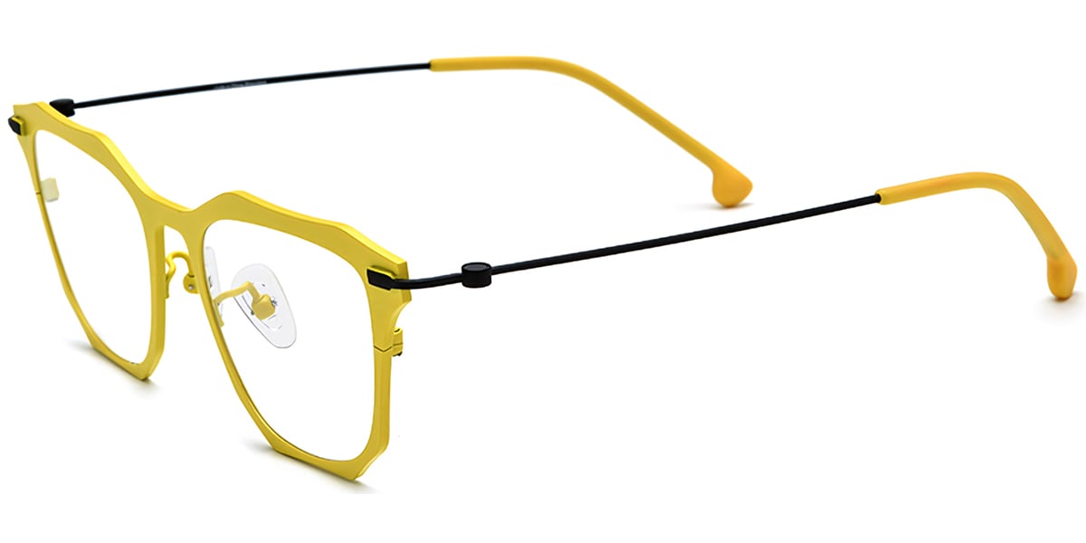 Titanium Geometric Frame F7295