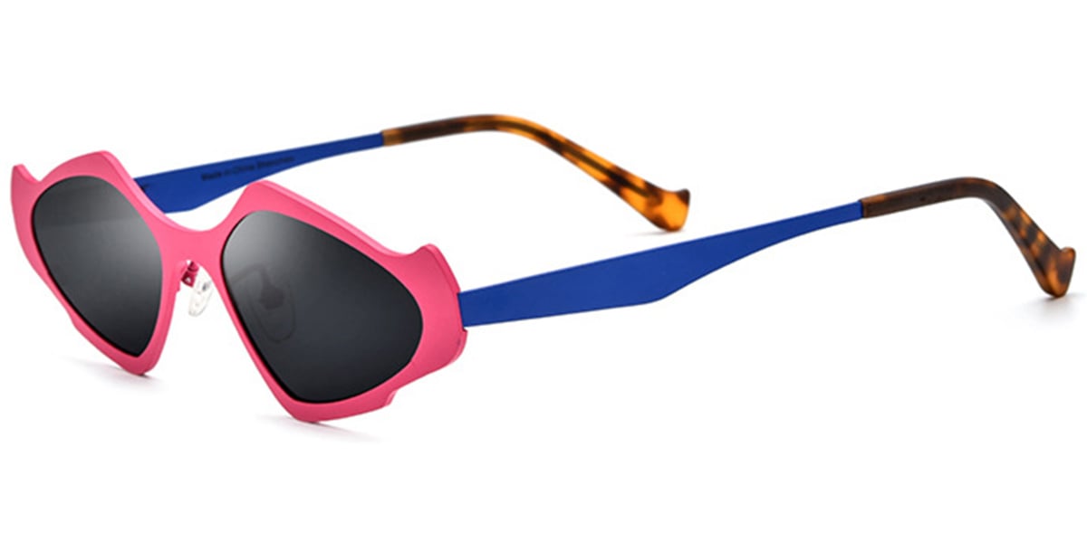 Titanium Geometric Sunglasses SG6779