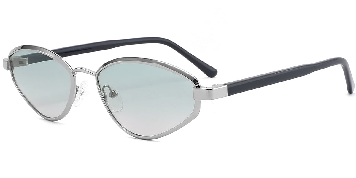 Acetate Metal Geometric Sunglasses SG9368