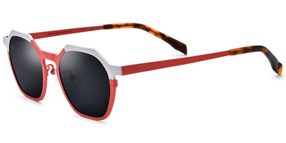Titanium Geometric Sunglasses SG6671