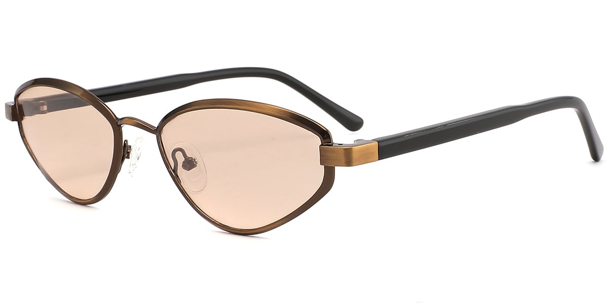 Acetate Metal Geometric Sunglasses SG9368