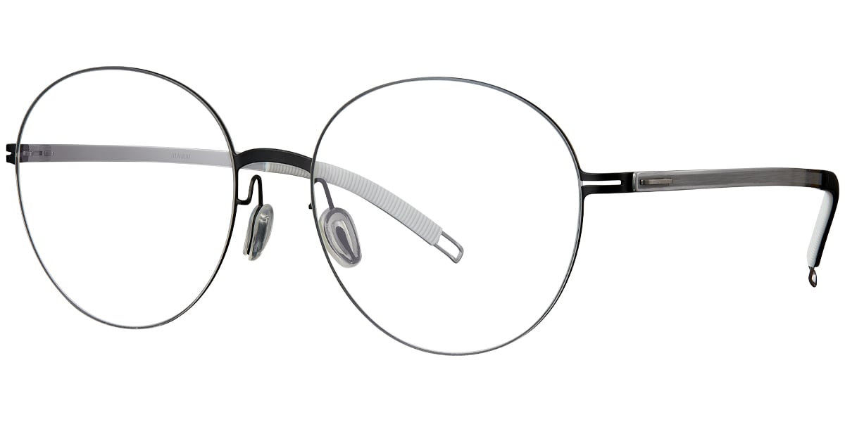 Titanium Round Frame F4981