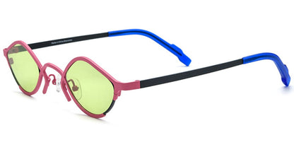 Titanium Geometric Sunglasses SG6804