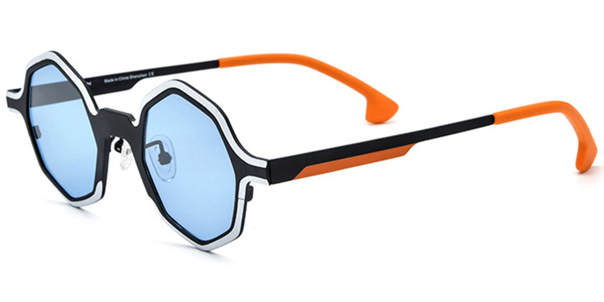 Titanium Geometric Sunglasses SG6669