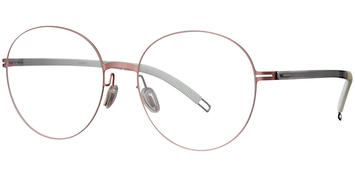 Titanium Round Frame F4981