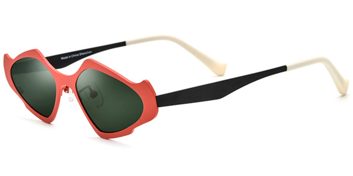 Titanium Geometric Sunglasses SG6779