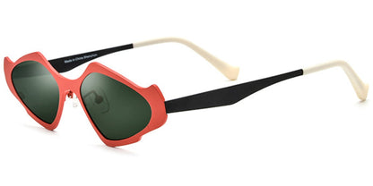 Titanium Geometric Sunglasses SG6779