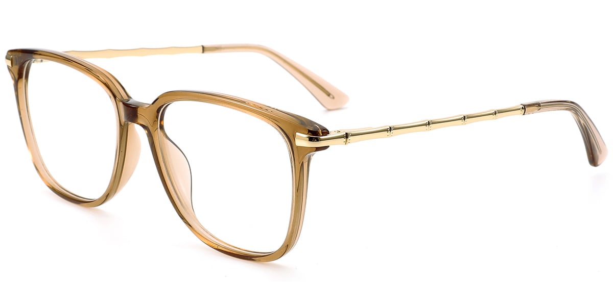 Acetate Square Frame F9734
