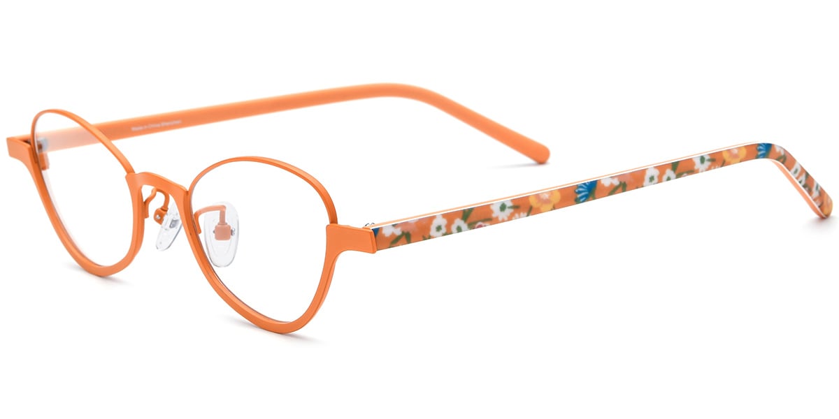Titanium Geometric Frame F7922