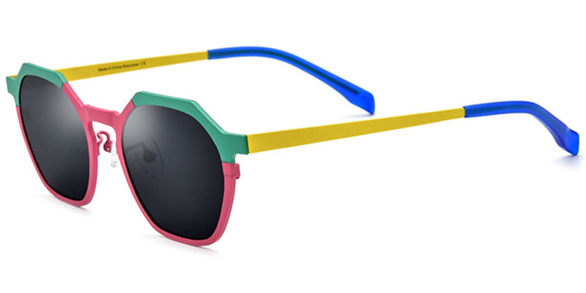Titanium Geometric Sunglasses SG6671