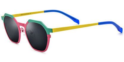 Titanium Geometric Sunglasses SG6671
