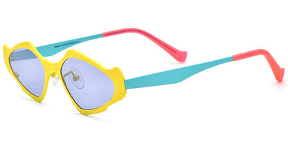 Titanium Geometric Sunglasses SG6779